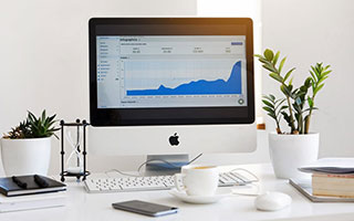 seo网站排名优化方案设计图片